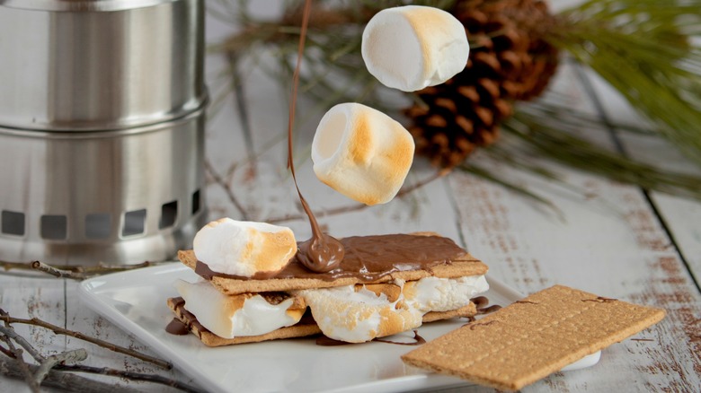 Ganache drizzled onto s'mores