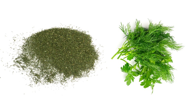 fresh and dry dill weed