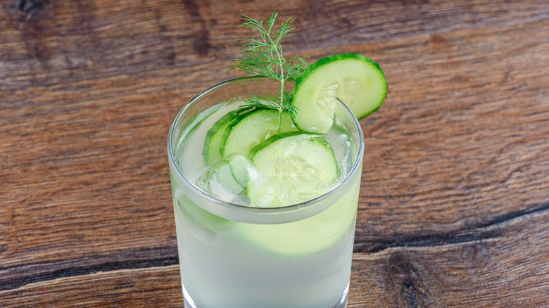 cold dill and cucumber cocktail