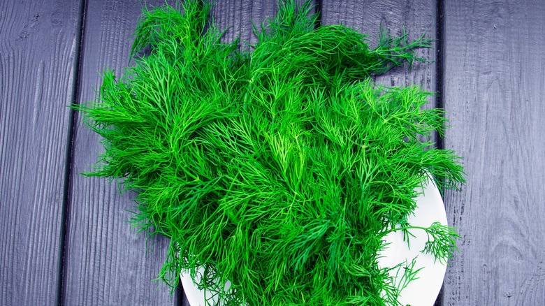 bunch of dill on plate