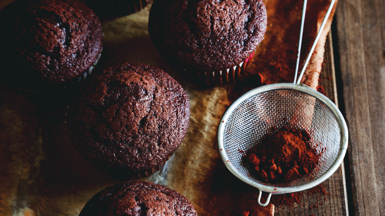 Chocolate cupcakes with cocoa powder