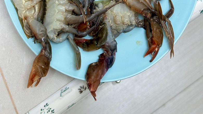 Fresh raw softshell crab