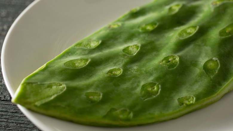 A raw nopal cactus paddle de-spined and on a plate