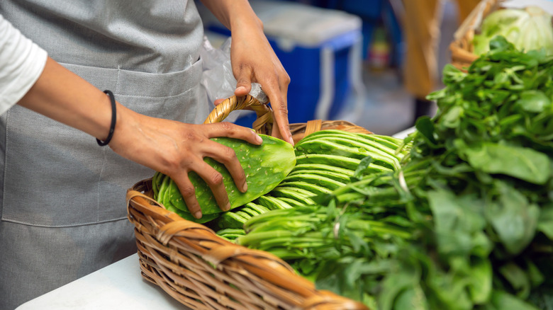 A person placing nopales in a basket with leafy green vegetables