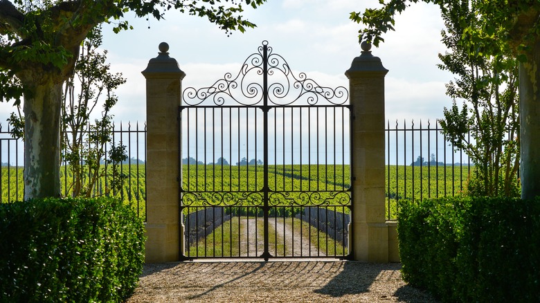 entrance gate to vineyard