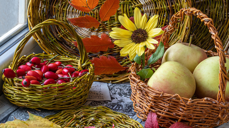 rosehips in basket along with other fall produce