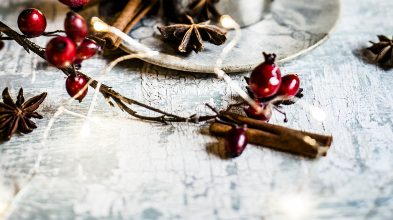 rosehip drink with hips and cinnamon sticks on surface