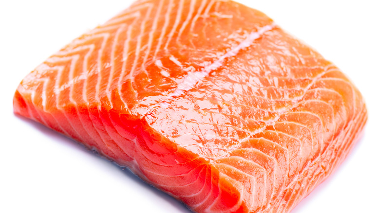 raw salmon fillet on white background