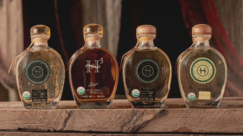Bottles of sotol on a wooden table