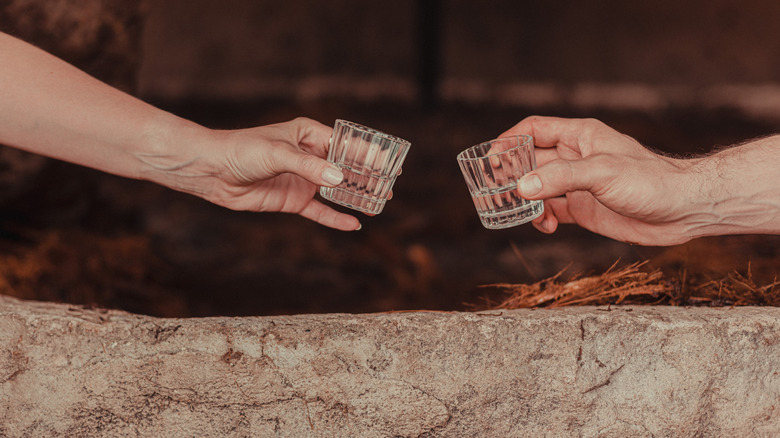 Two people holding shot glasses of sotol