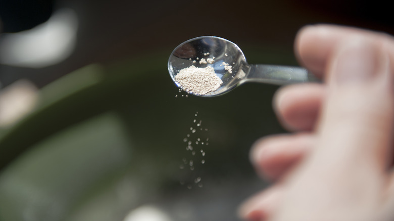 measuring spoon with dry yeast