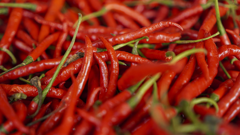 pile of red chili peppers