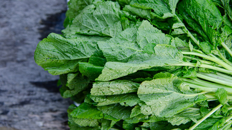 bunch of mustard leaves