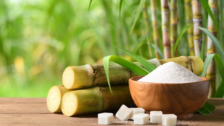 Sugar cane and refined sugar