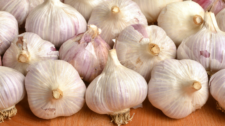 Many bulbs of garlic