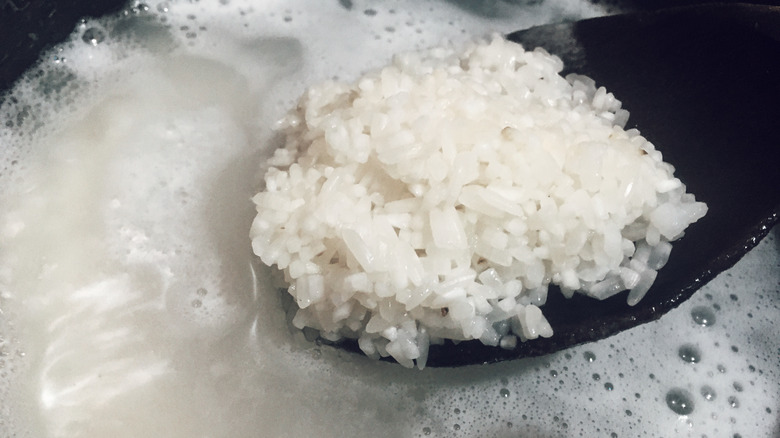 Close-up of rice cooking, with rice on a black spoon