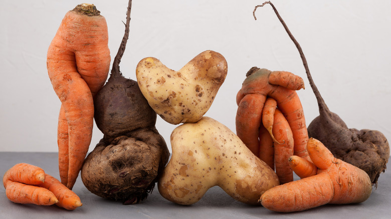 ugly carrots, potatoes, beets