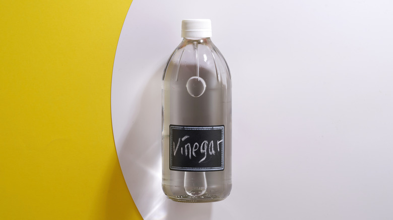Bottle of white vinegar