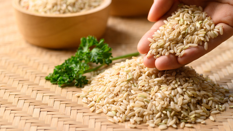 hand holding brown rice grains