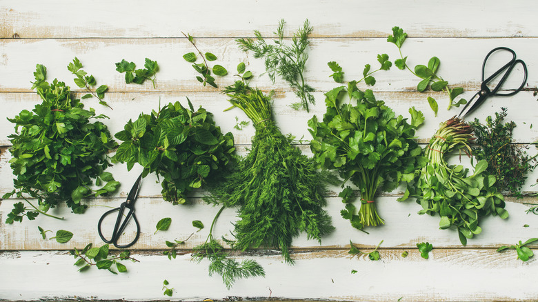 five bunches of fresh herbs