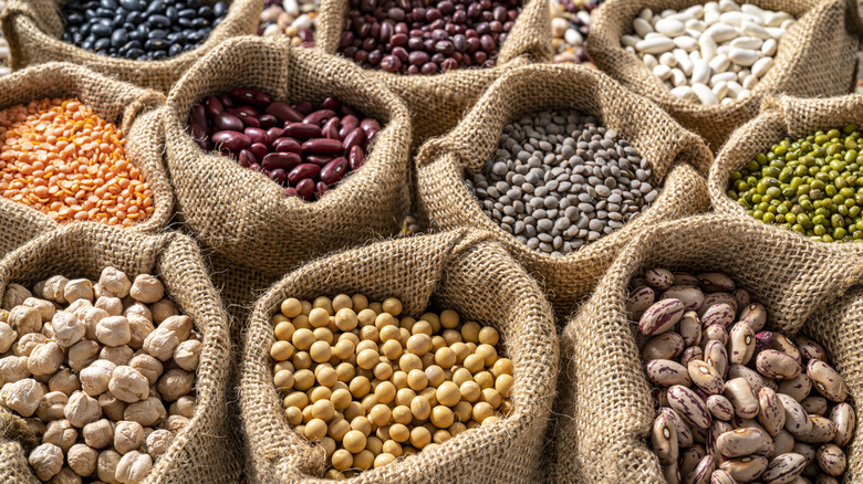 different legumes