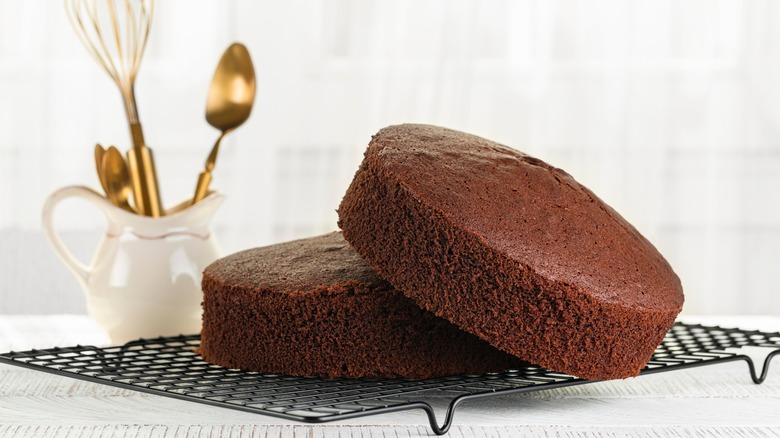 Just baked plain chocolate cakes