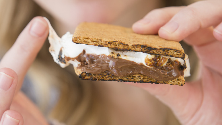 Close up of a gooey s'more