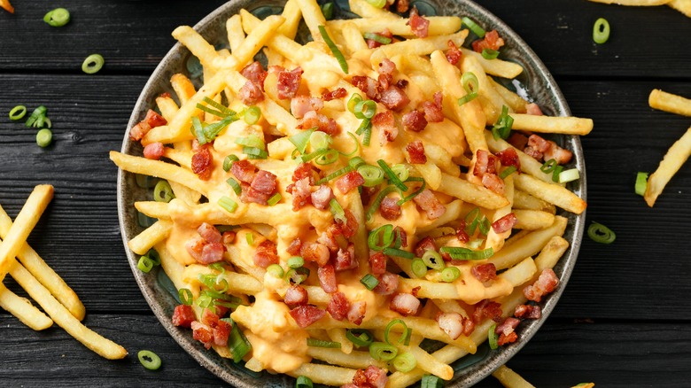 Bowl of loaded cheesy french fries