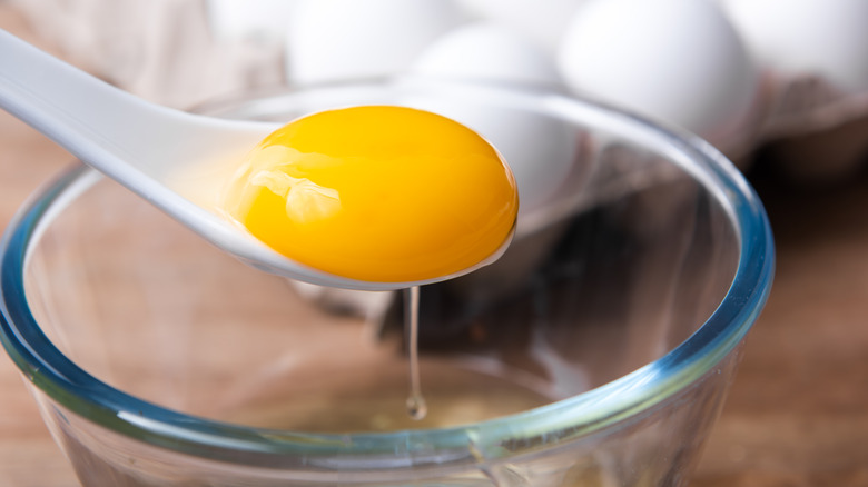 Egg yolk in spoon