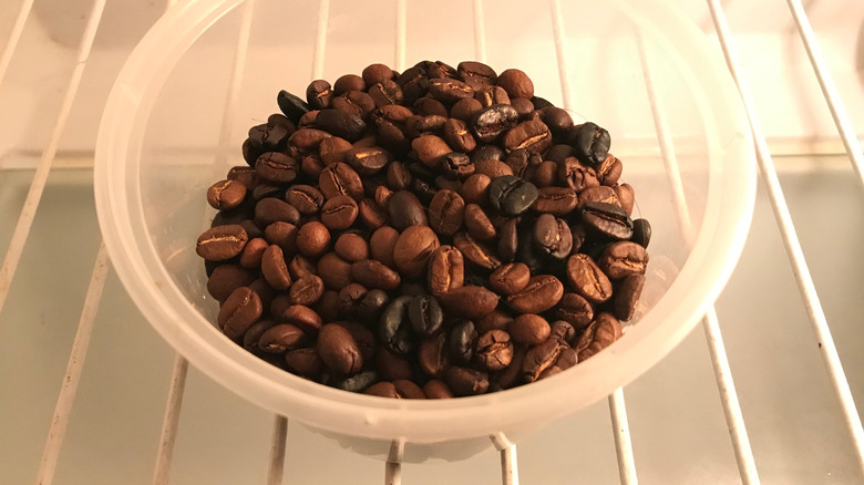 Coffee beans in a bowl inside the fridge