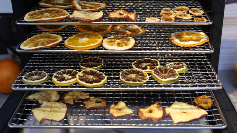 fruit slices in dehydrator