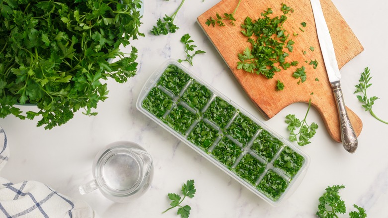 cilantro in an ice cube tray