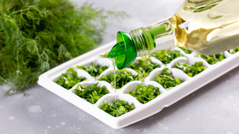 Herbs in ice cube tray