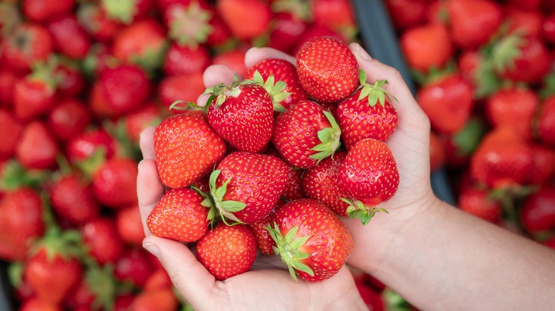 Handful of ripe strawberries