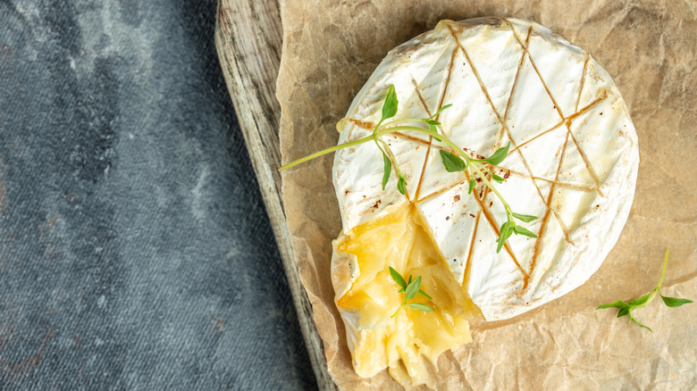An illustration showing homemade grilled brie cheese.