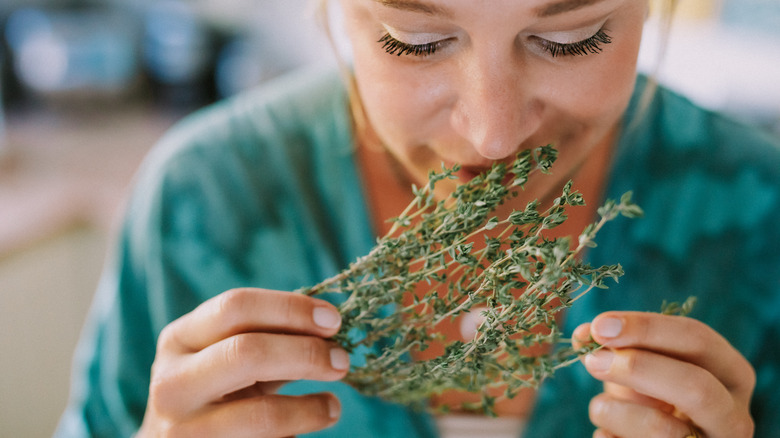 Woman smelling fresh sprigs of thyme