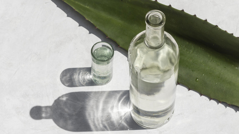 Mezcal bottle with agave leaf.