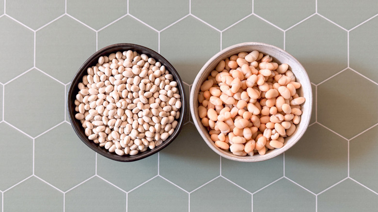 Dried and canned navy beans in bowls on countertop