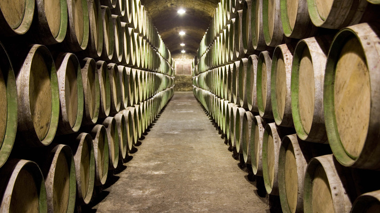 cellar of wine barrels