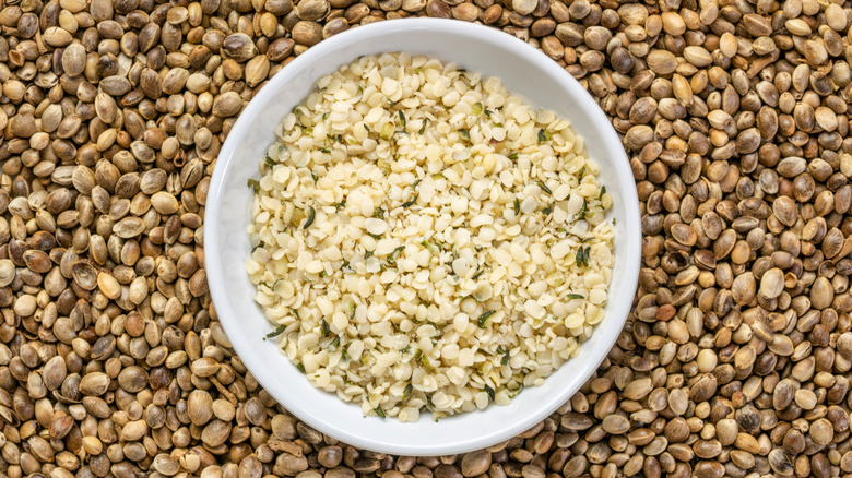 Hemp hearts in a bowl surrounded by hemp seeds