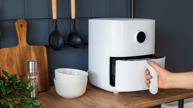 Person opening air fryer basket