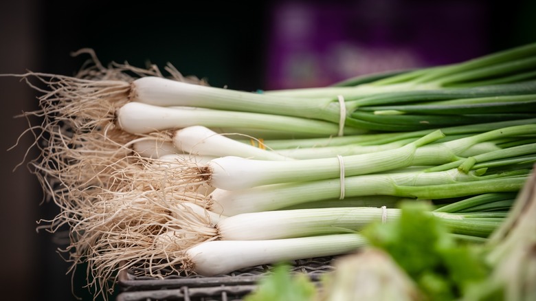 Fresh scallions on a grate