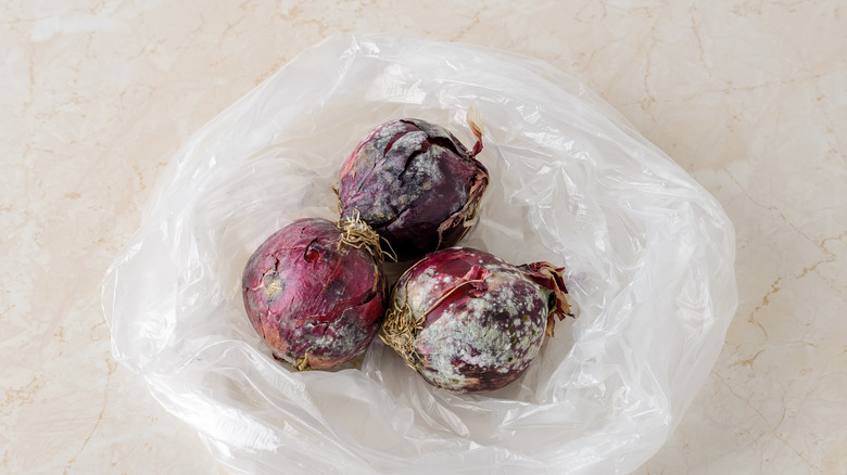 Three rotten and moldy red onions