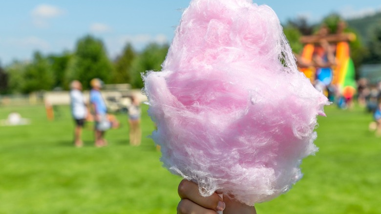 Hand holding pink cotton candy in the park