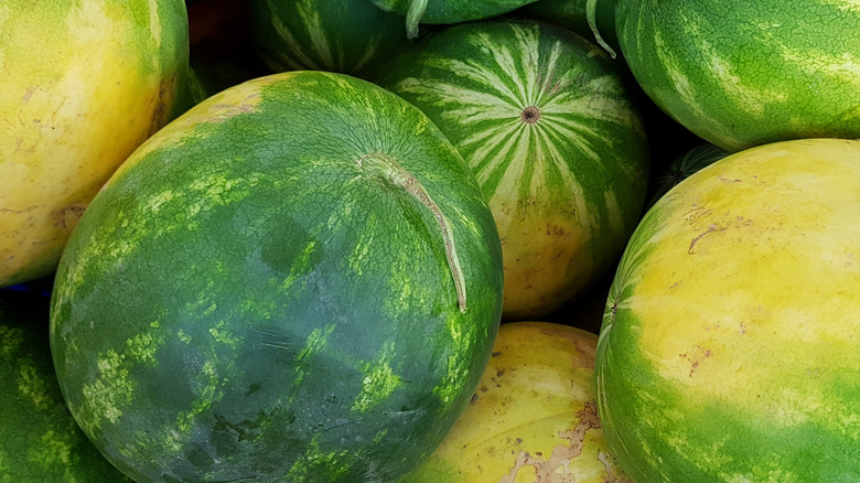 pile of watermelons with yellow splotches