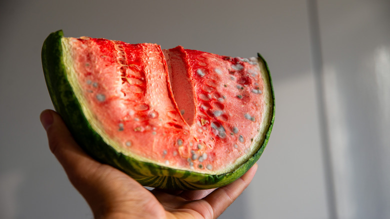 rotten piece of watermelon