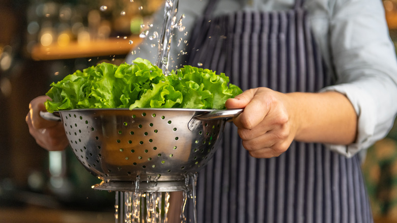 Person rinsing off salad greeens