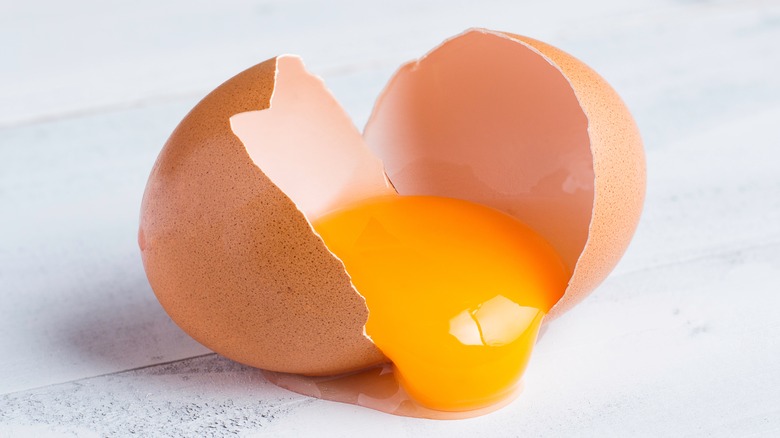 Broken brown egg revealing yolk