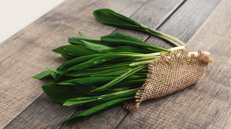 Wild garlic wrapped in burlap