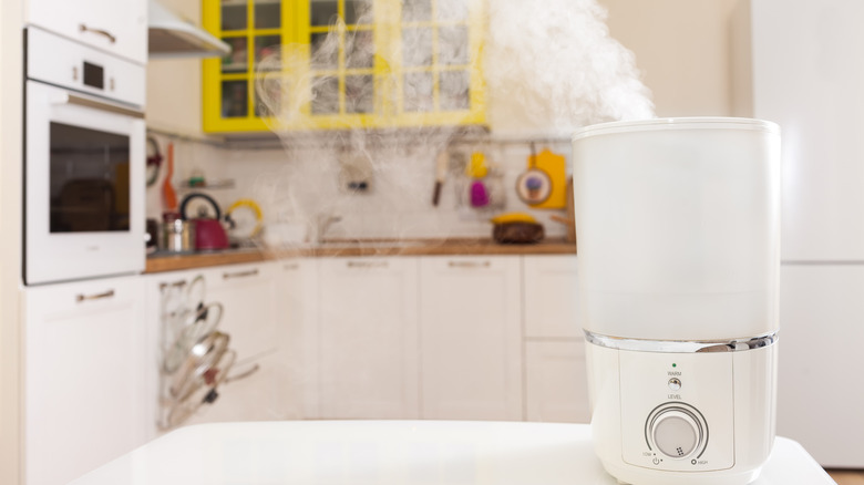 A humidifier in a bright kitchen